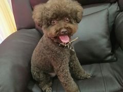 -喵汪宠物生活馆(涞坊路店)