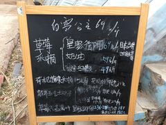 -大自然农场蔬菜草莓采摘园