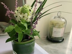 -蝶舍·MAISON PAPILLON