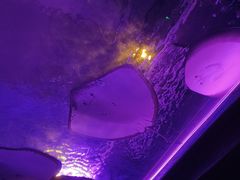 -波塞冬旅游度假区