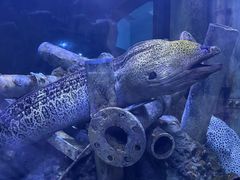 -成都浩海立方海洋公园