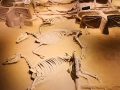 -洛阳周王城天子驾六博物馆