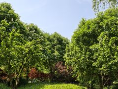 -北京西国贸大酒店