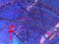 -广州长隆国际大马戏