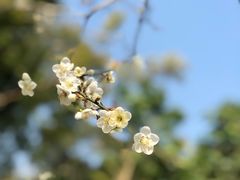 -广州市白云山风景名胜区