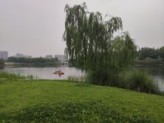 -眉山湿地公园(东坡区)