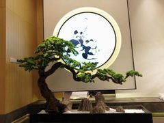 -享月汤皇·海鲜小火锅·聚会(曲江创意谷店)