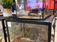 -深圳龙华星河COCO City(民治店)