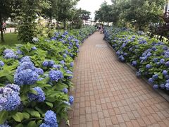 -台场海滨公园船码头