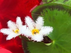 -良友·海鲜青岛菜(五四广场店)