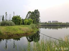 -眉山湿地公园(东坡区)