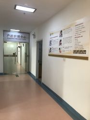 -北京安琪