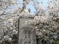 -武汉大学-樱园