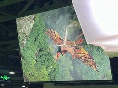 -华谊兄弟（长沙）电影小镇