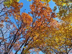 -玉渡山自然风景区