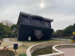 -金山农民画村-枫泾波兰倒置屋