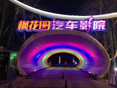 -枫花园汽车电影院(朝阳公园店)