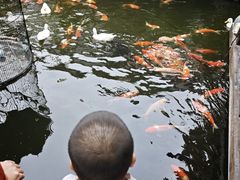 -顺德渔村·岭南一号