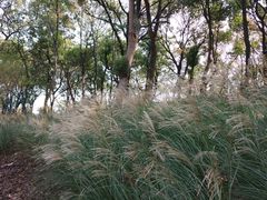 -上海市保健医疗中心(华东疗养院)