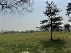 -汉长安城未央宫国家考古遗址公园