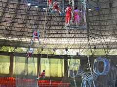 -杭州野生动物世界