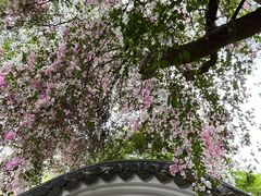 -深圳国际园林花卉博览园