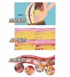 -Lily纤美·科技减脂中心
