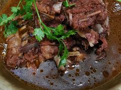 精选羊蝎子-芦月轩羊蝎子(北蜂窝店)