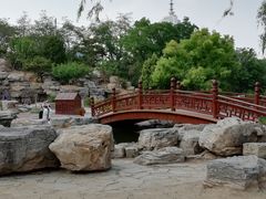 -莲花池公园