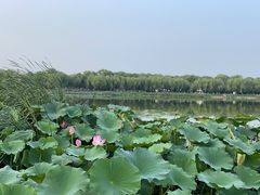 -素心小筑(后沙裕镇店)