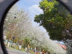-成都大学-图书馆