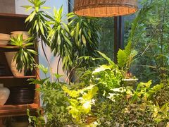-自由生长植物工作室(深港花卉中心店)