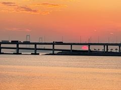 -宝安西湾红树林湿地公园