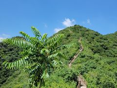 -大岭沟猕猴桃谷风景区