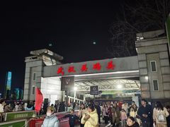 -武汉关码头(轮渡站)