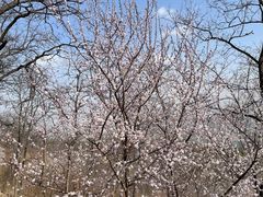 -鬼笑石后山停车场