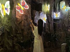 -正佳雨林生态植物园