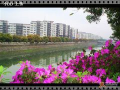 云浮风光-云浮市迎宾馆·餐饮部