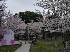 -堤角公园