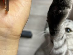 -Apple零售店(新街口店)