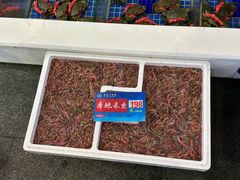 -益利大酒楼(井岸店)