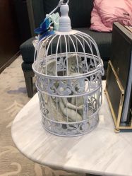 -加减美医美连锁品牌