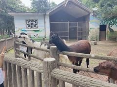 -昆明动物园