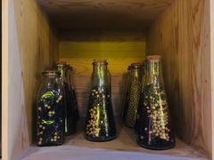 -舌尖上的食缘花园主题餐厅