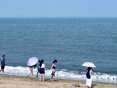 -巧克力渔家.小船海鲜家常菜(三浴场店)