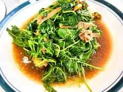 -蟹天蟹地农家菜·阳澄湖大闸蟹(浅水湾店)
