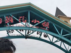 -南通鲜花小镇
