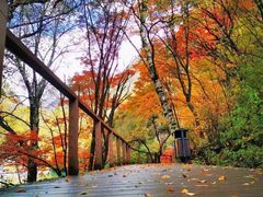 -叠溪松坪沟景区