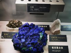 -中国地质博物馆