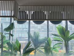 -佬肥猫(七宝宝龙店)